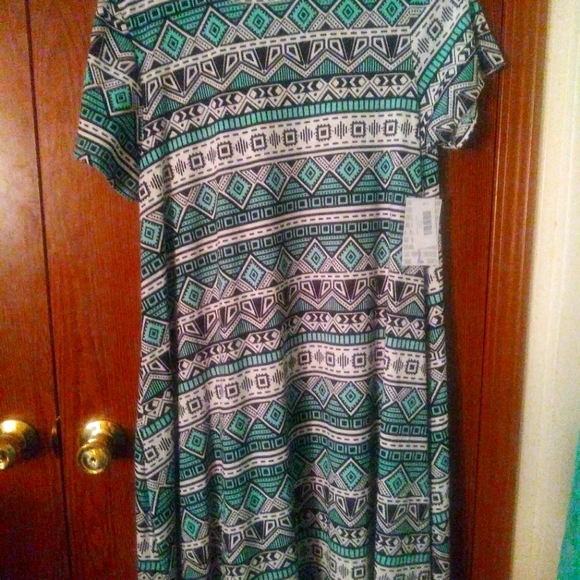 Nwt carly dress